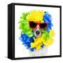 Crazy Sill Dog-Javier Brosch-Framed Stretched Canvas