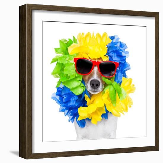 Crazy Sill Dog-Javier Brosch-Framed Photographic Print