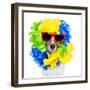 Crazy Sill Dog-Javier Brosch-Framed Photographic Print