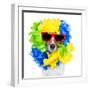 Crazy Sill Dog-Javier Brosch-Framed Photographic Print