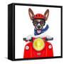 Crazy Silly Motorbike Dog-Javier Brosch-Framed Stretched Canvas