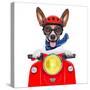Crazy Silly Motorbike Dog-Javier Brosch-Stretched Canvas