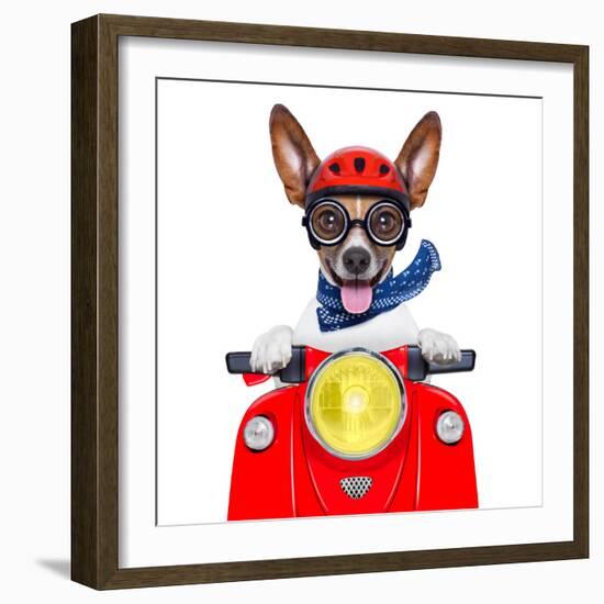 Crazy Silly Motorbike Dog-Javier Brosch-Framed Photographic Print