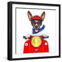 Crazy Silly Motorbike Dog-Javier Brosch-Framed Photographic Print