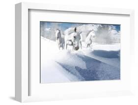 Crazy White-Steve Hunziker-Framed Art Print