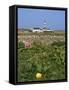 Creac'H Lighthouse, Ouessant Island, Finistere, Brittany, France, Europe-Thouvenin Guy-Framed Stretched Canvas