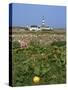 Creac'H Lighthouse, Ouessant Island, Finistere, Brittany, France, Europe-Thouvenin Guy-Stretched Canvas