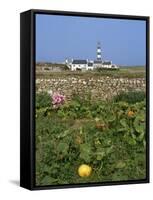 Creac'H Lighthouse, Ouessant Island, Finistere, Brittany, France, Europe-Thouvenin Guy-Framed Stretched Canvas