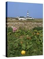 Creac'H Lighthouse, Ouessant Island, Finistere, Brittany, France, Europe-Thouvenin Guy-Stretched Canvas