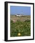 Creac'H Lighthouse, Ouessant Island, Finistere, Brittany, France, Europe-Thouvenin Guy-Framed Photographic Print