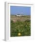 Creac'H Lighthouse, Ouessant Island, Finistere, Brittany, France, Europe-Thouvenin Guy-Framed Photographic Print