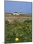 Creac'H Lighthouse, Ouessant Island, Finistere, Brittany, France, Europe-Thouvenin Guy-Mounted Photographic Print