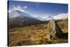 Creag Megaidh National Nature Reserve, Lochaber, Scotland, UK, December. 2020Vision Book Plate-Mark Hamblin-Stretched Canvas