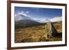 Creag Megaidh National Nature Reserve, Lochaber, Scotland, UK, December. 2020Vision Book Plate-Mark Hamblin-Framed Photographic Print