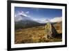 Creag Megaidh National Nature Reserve, Lochaber, Scotland, UK, December. 2020Vision Book Plate-Mark Hamblin-Framed Photographic Print