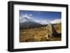 Creag Megaidh National Nature Reserve, Lochaber, Scotland, UK, December. 2020Vision Book Plate-Mark Hamblin-Framed Photographic Print