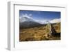 Creag Megaidh National Nature Reserve, Lochaber, Scotland, UK, December. 2020Vision Book Plate-Mark Hamblin-Framed Photographic Print