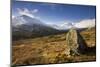 Creag Megaidh National Nature Reserve, Lochaber, Scotland, UK, December. 2020Vision Book Plate-Mark Hamblin-Mounted Photographic Print