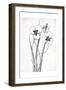 Cream Black Florals Mate-Jace Grey-Framed Art Print