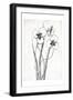 Cream Black Florals Mate-Jace Grey-Framed Art Print