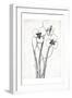 Cream Black Florals Mate-Jace Grey-Framed Art Print