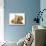 Cream Kitten with Cream Dapple Dachshund Puppy-Jane Burton-Photographic Print displayed on a wall