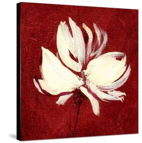 Cream on Crimson-Sarah Parker-Stretched Canvas