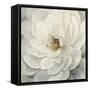 Cream Peony I-null-Framed Stretched Canvas