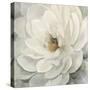 Cream Peony I-null-Stretched Canvas