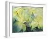 Cream Poinsettia with butterfly-Karen Armitage-Framed Giclee Print