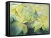 Cream Poinsettia with butterfly-Karen Armitage-Framed Stretched Canvas