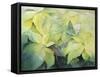 Cream Poinsettia with butterfly-Karen Armitage-Framed Stretched Canvas