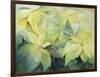 Cream Poinsettia with butterfly-Karen Armitage-Framed Giclee Print