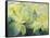 Cream Poinsettia with butterfly-Karen Armitage-Framed Stretched Canvas