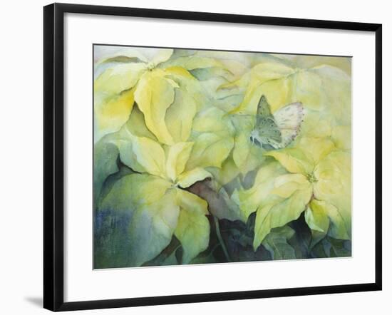 Cream Poinsettia with butterfly-Karen Armitage-Framed Giclee Print