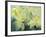 Cream Poinsettia with butterfly-Karen Armitage-Framed Giclee Print