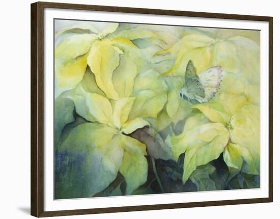 Cream Poinsettia with butterfly-Karen Armitage-Framed Premium Giclee Print