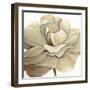 Cream Silken Bloom Withaar-Withaar-Framed Art Print