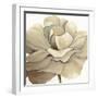 Cream Silken Bloom Withaar-Withaar-Framed Art Print