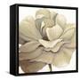 Cream Silken Bloom Withaar-Withaar-Framed Stretched Canvas