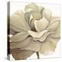 Cream Silken Bloom Withaar-Withaar-Stretched Canvas