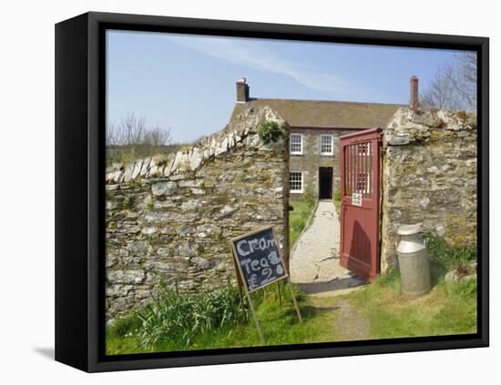 Cream Teas Sign Outside Cornish Farmhouse, Near Fowey, Cornwall, England, UK-Nick Wood-Framed Stretched Canvas