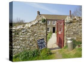 Cream Teas Sign Outside Cornish Farmhouse, Near Fowey, Cornwall, England, UK-Nick Wood-Stretched Canvas