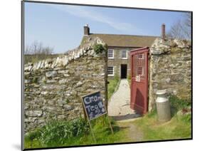 Cream Teas Sign Outside Cornish Farmhouse, Near Fowey, Cornwall, England, UK-Nick Wood-Mounted Photographic Print