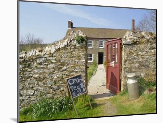 Cream Teas Sign Outside Cornish Farmhouse, Near Fowey, Cornwall, England, UK-Nick Wood-Mounted Photographic Print