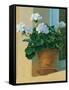 Creancey Geraniums I-null-Framed Stretched Canvas