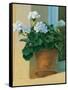 Creancey Geraniums I-null-Framed Stretched Canvas