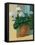 Creancey Geraniums I-null-Framed Stretched Canvas