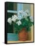 Creancey Geraniums II-null-Framed Stretched Canvas