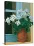 Creancey Geraniums II-null-Stretched Canvas